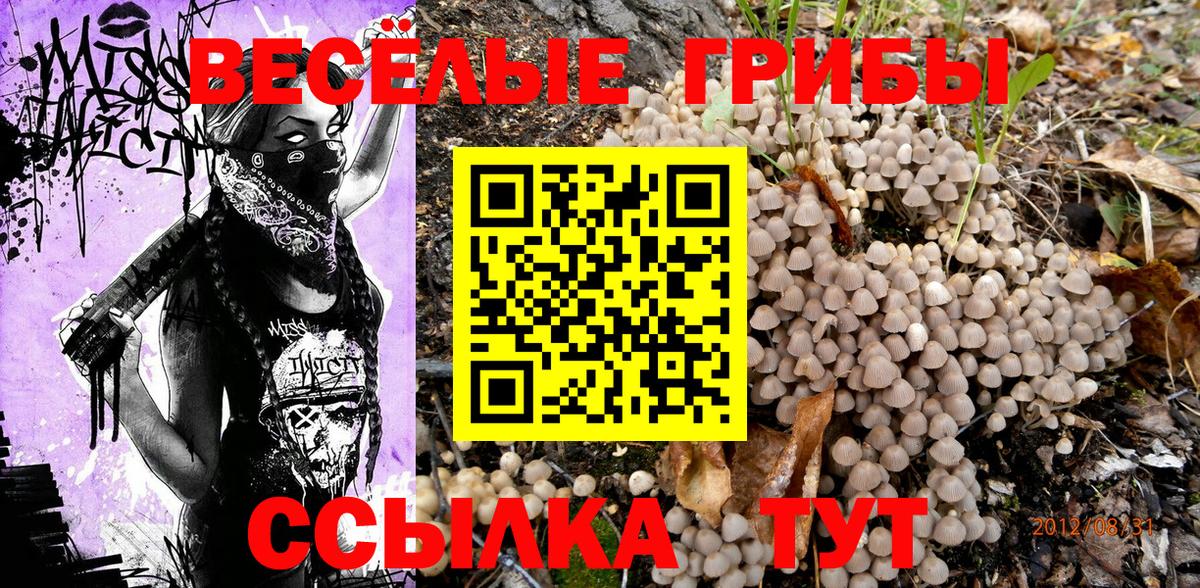 Феодосия  Галлюциногенные грибы Psilocybe  Вход с VPN 